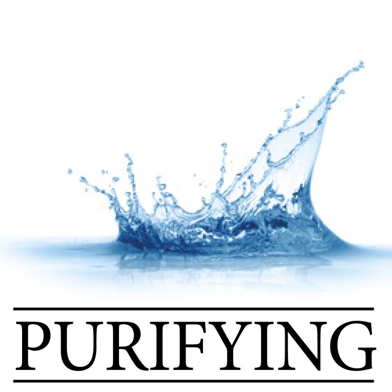 Linea Purifying