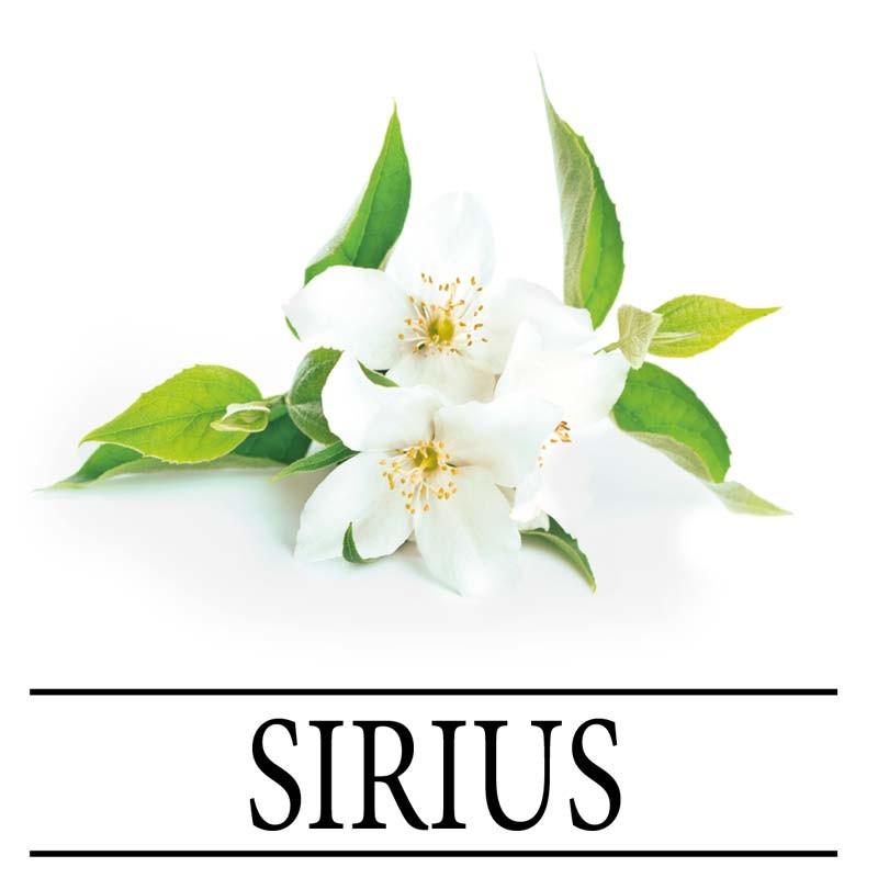 Dikson Sirius